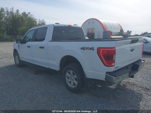 Продажа на аукционе авто 2023 Ford F150 Supercrew, vin: 1FTFW1EDXPFC88532, номер лота: 12712144