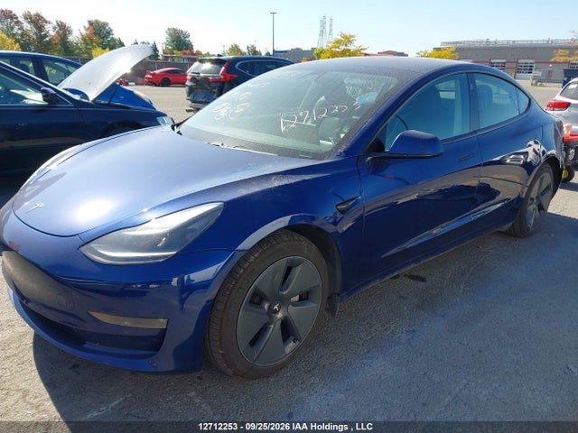 Tesla MODEL 3 2021 5YJ3E1EB7MF924098 Image 2
