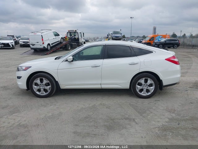 Aukcja sprzedaży 2010 Honda Accord Crosstour Exl, vin: 5J6TF1H54AL010445, numer aukcji: 12712256