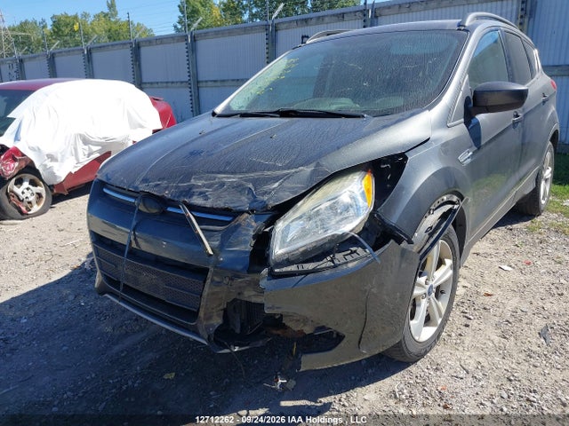 Продаж на аукціоні авто 2015 Ford Escape Se, vin: 1FMCU9GX8FUA84509, номер лоту: 12712262