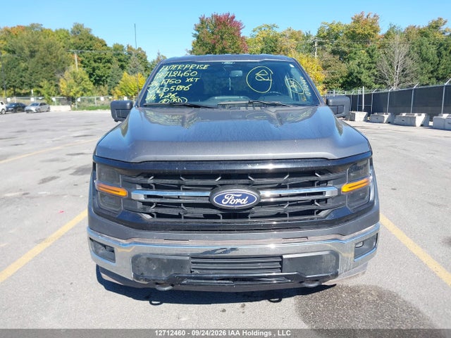 Ford F150 Xlt 2024 1FTFW3L5XRKE05186 Image 12
