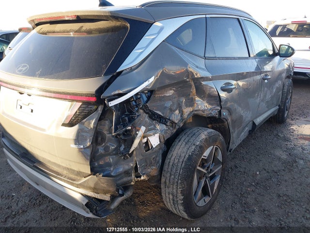 2025 Hyundai Tucson მანქანა იყიდება აუქციონზე, vin: 5NMJCCDE6SH497819, აუქციონის ნომერი: 12712555