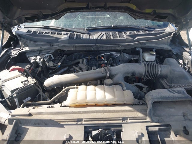 Ford F-150 Xlt 2024 1FTFW3L84RKE87085 Image 10