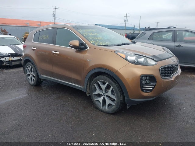 Auction sale of the 2017 Kia Sportage, vin: KNDPRCA63H7254085, lot number: 12712645