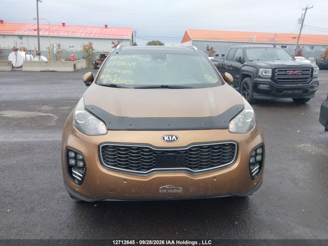 Auction sale of the 2017 Kia Sportage, vin: KNDPRCA63H7254085, lot number: 12712645