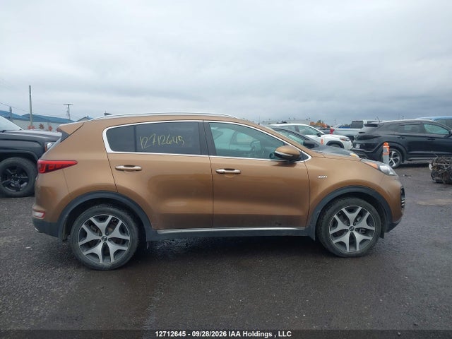 Auction sale of the 2017 Kia Sportage, vin: KNDPRCA63H7254085, lot number: 12712645