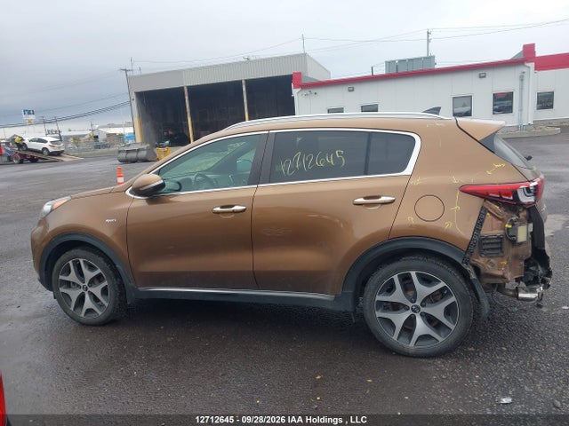 Auction sale of the 2017 Kia Sportage, vin: KNDPRCA63H7254085, lot number: 12712645