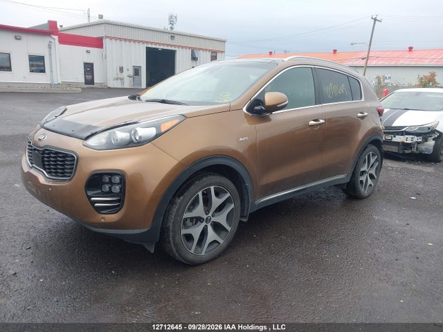 Auction sale of the 2017 Kia Sportage, vin: KNDPRCA63H7254085, lot number: 12712645