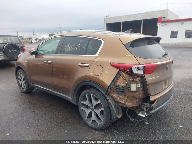 Auction sale of the 2017 Kia Sportage, vin: KNDPRCA63H7254085, lot number: 12712645