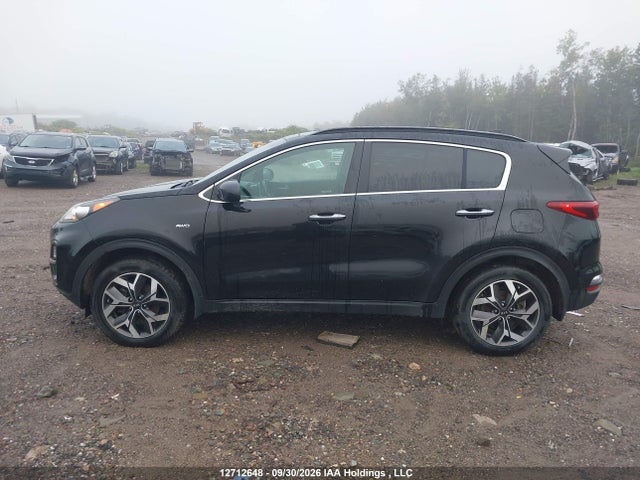 2020 Kia Sportage Ex მანქანა იყიდება აუქციონზე, vin: KNDPNCAC5L7648617, აუქციონის ნომერი: 12712648