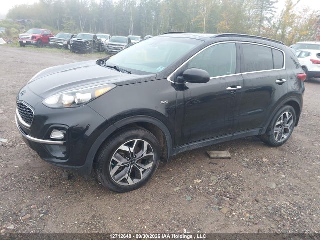 2020 Kia Sportage Ex მანქანა იყიდება აუქციონზე, vin: KNDPNCAC5L7648617, აუქციონის ნომერი: 12712648