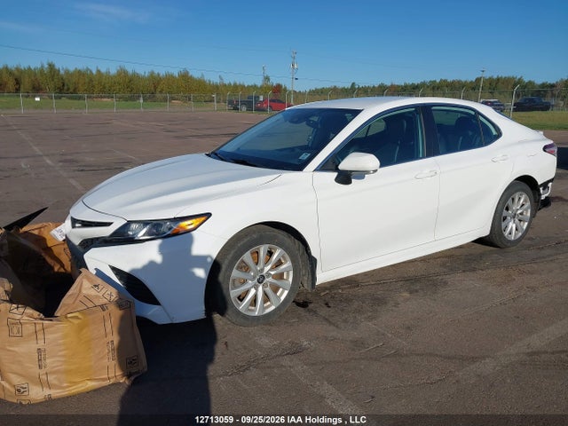 4T1G11AK1LU377866 Toyota CAMRY SE