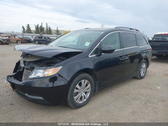 Продаж на аукціоні авто 2016 Honda Odyssey Se, vin: 5FNRL5H38GB509226, номер лоту: 12713137