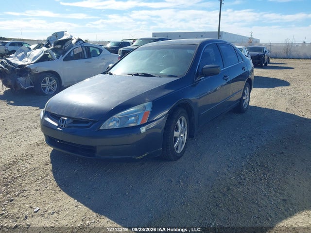 2005 Honda Accord Sdn მანქანა იყიდება აუქციონზე, vin: 1HGCM66525A803788, აუქციონის ნომერი: 12713219