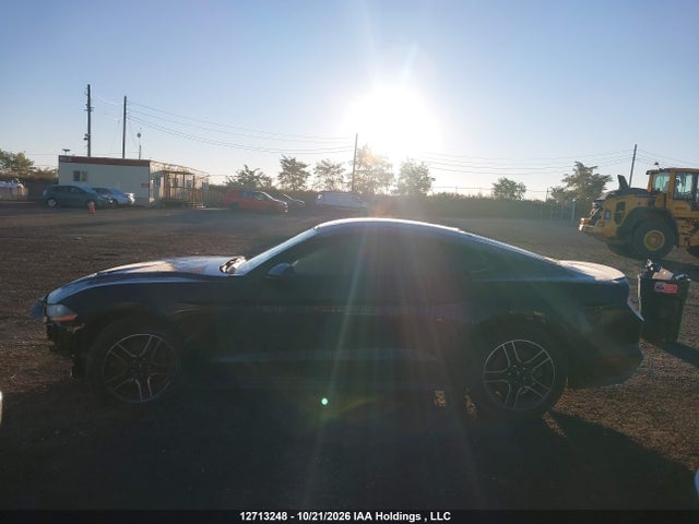 Ford Mustang Ecoboost Premium 2019 1FA6P8TH6K5103294 Image 13