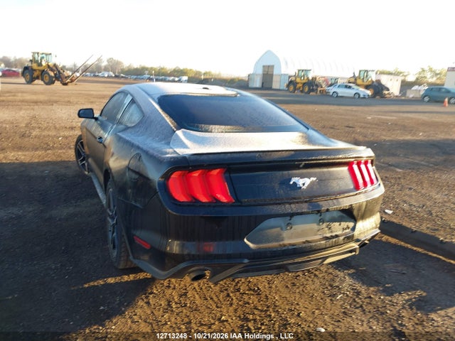 Ford Mustang Ecoboost Premium 2019 1FA6P8TH6K5103294 Image 3