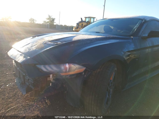 Ford Mustang Ecoboost Premium 2019 1FA6P8TH6K5103294 Image 6