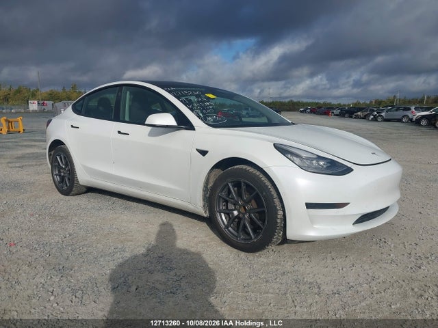 Tesla MODEL 3 2021 5YJ3E1EA0MF843385 zdjęcie główne