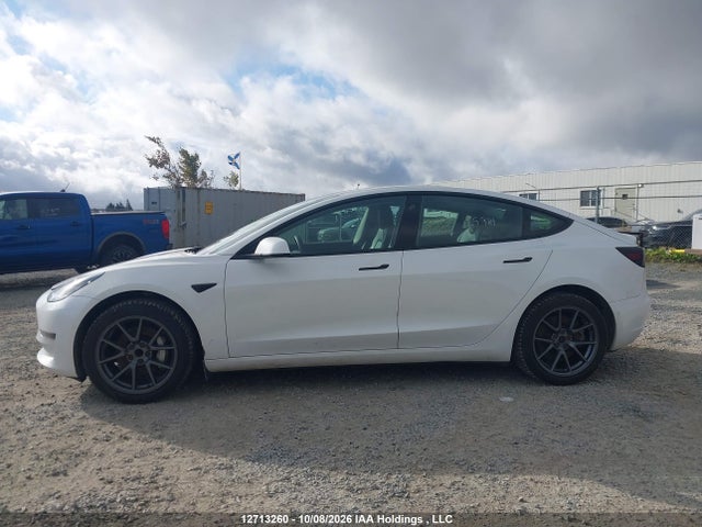 Tesla MODEL 3 2021 5YJ3E1EA0MF843385 Image 15