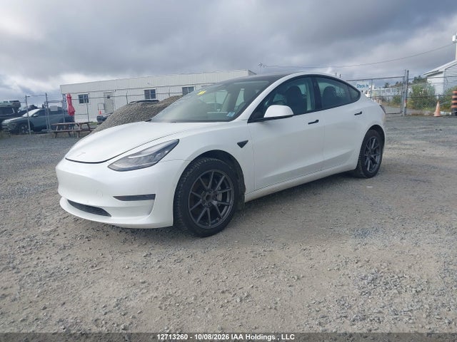 Tesla MODEL 3 2021 5YJ3E1EA0MF843385 Image 2