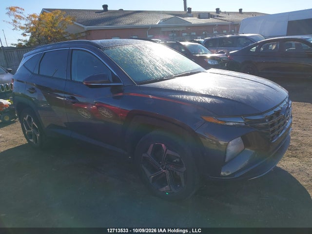 Продажа на аукционе авто 2024 Hyundai Tucson Sel Convenience, vin: KM8JCCD19RU235112, номер лота: 12713533