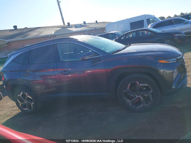 Продажа на аукционе авто 2024 Hyundai Tucson Sel Convenience, vin: KM8JCCD19RU235112, номер лота: 12713533