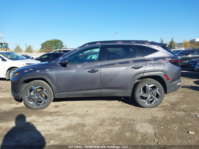 Продажа на аукционе авто 2024 Hyundai Tucson Sel Convenience, vin: KM8JCCD19RU235112, номер лота: 12713533