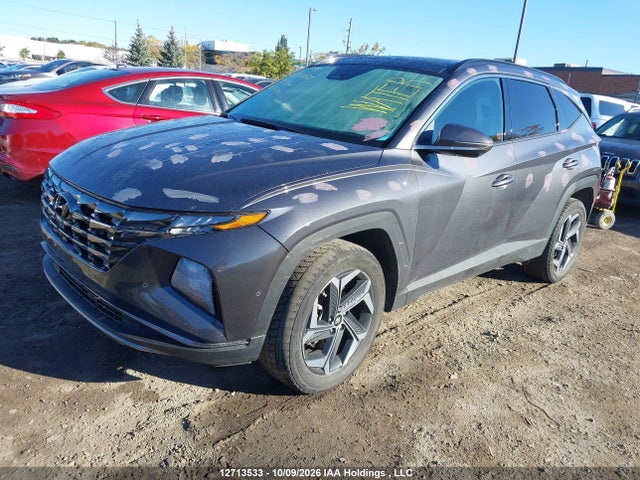 Продажа на аукционе авто 2024 Hyundai Tucson Sel Convenience, vin: KM8JCCD19RU235112, номер лота: 12713533