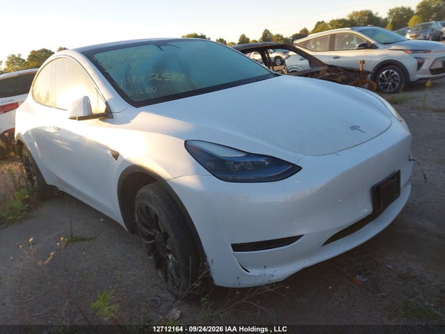 2023 Tesla Model Y Rwd მანქანა იყიდება აუქციონზე, vin: LRWYGDFD5PC902519, აუქციონის ნომერი: 12712164