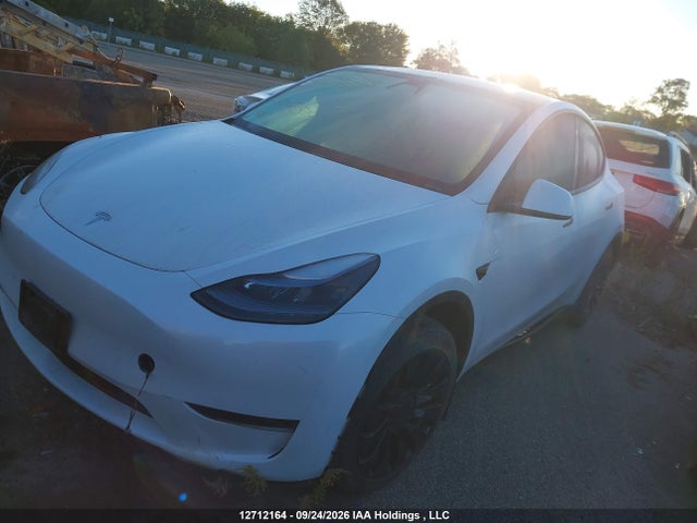 Tesla Model Y Rwd 2023 LRWYGDFD5PC902519 Image 2