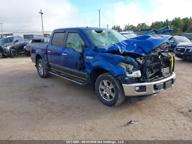 12713565 :رقم المزاد ، 1FTEW1EP8HFA03026 vin ، 2017 Ford F-150 Xlt مزاد بيع