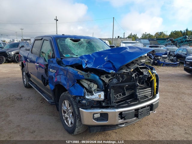 Aukcja sprzedaży 2017 Ford F-150 Xlt, vin: 1FTEW1EP8HFA03026, numer aukcji: 12713565