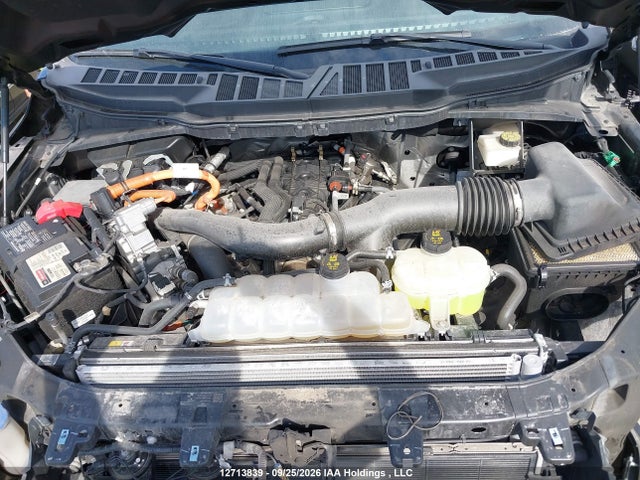 12713839 :رقم المزاد ، 1FTFW3LDXRFA78823 vin ، 2024 Ford F-150 Xlt مزاد بيع