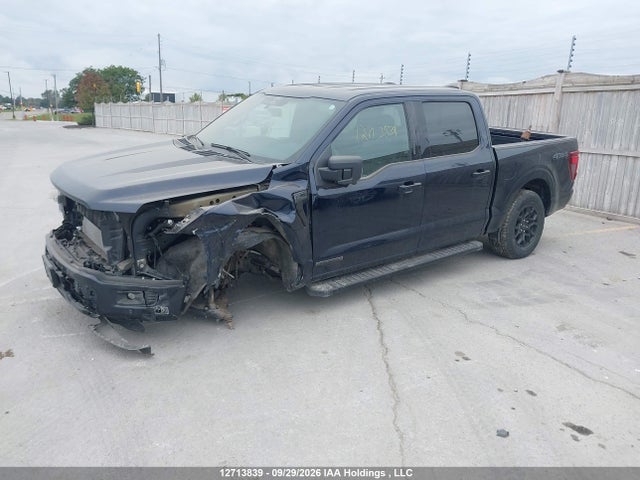 12713839 :رقم المزاد ، 1FTFW3LDXRFA78823 vin ، 2024 Ford F-150 Xlt مزاد بيع