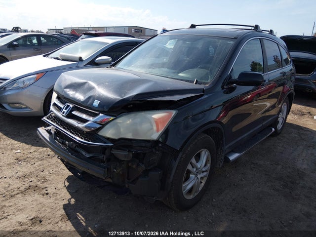 Продажа на аукционе авто 2010 Honda Cr-v Ex, vin: 5J6RE4H5XAL805076, номер лота: 12713913