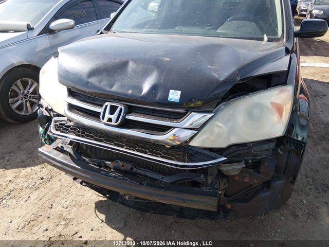 Продажа на аукционе авто 2010 Honda Cr-v Ex, vin: 5J6RE4H5XAL805076, номер лота: 12713913