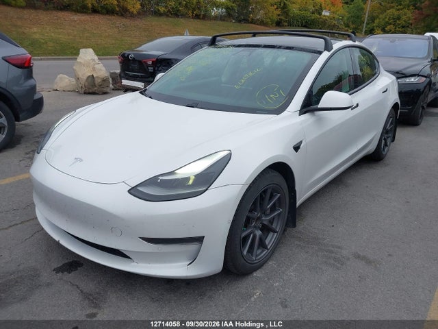 Tesla MODEL 3 2021 5YJ3E1EA8MF023118 Image 2