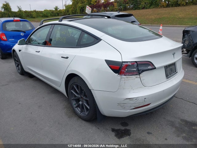 Tesla MODEL 3 2021 5YJ3E1EA8MF023118 Image 3