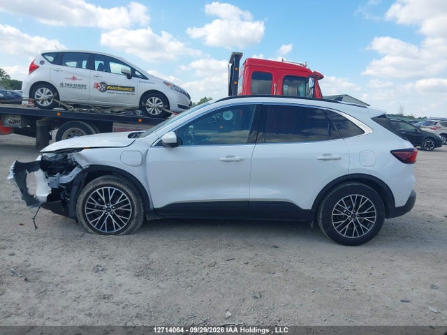 Продаж на аукціоні авто 2023 Ford Escape Phev, vin: 1FMCU0E10PUA81311, номер лоту: 12714064