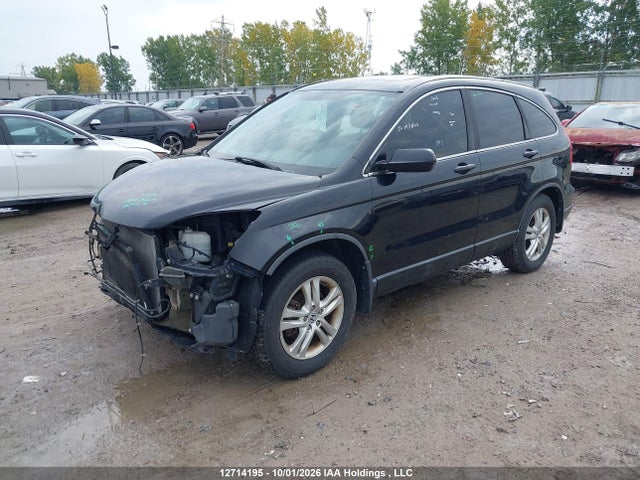 Продаж на аукціоні авто 2011 Honda Cr-v Ex, vin: 5J6RE4H54BL809786, номер лоту: 12714195