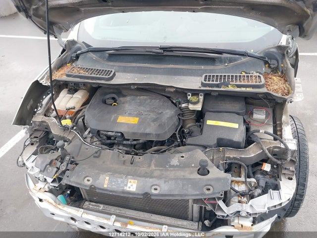 2014 Ford Escape მანქანა იყიდება აუქციონზე, vin: 1FMCU0GX0EUE42860, აუქციონის ნომერი: 12714212