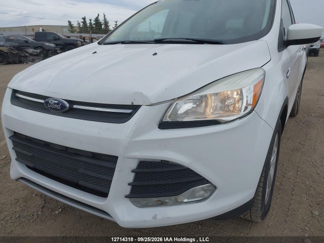 Ford ESCAPE SE 2015 1FMCU0GX5FUC47032 Image 6