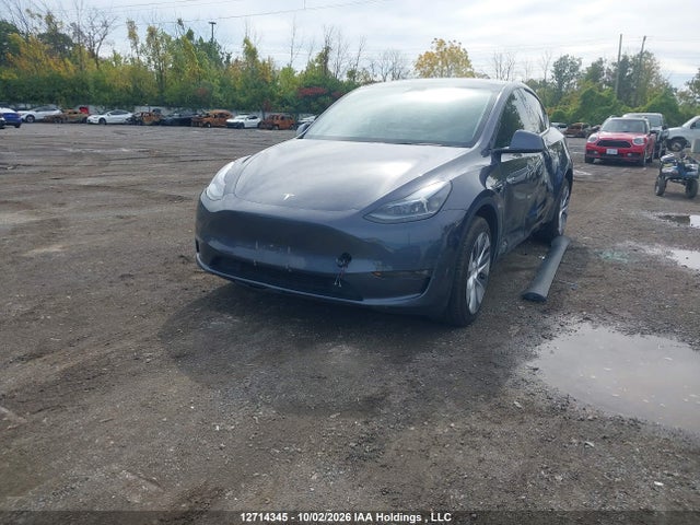 Auction sale of the 2023 Tesla Model Y, vin: LRWYGDEE9PC029321, lot number: 12714345