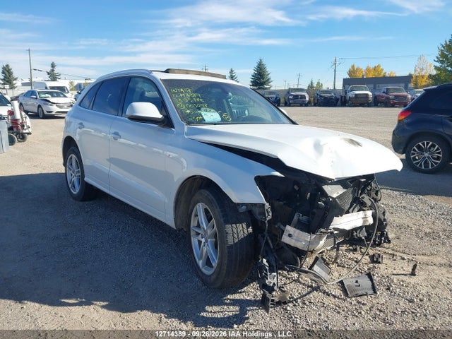 Auction sale of the 2013 Audi Q5 Premium, vin: WA1MFCFP0DA005098, lot number: 12714389