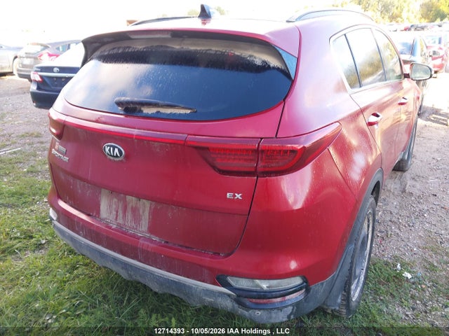 Продаж на аукціоні авто 2020 Kia Sportage Ex, vin: KNDPNCAC5L7742609, номер лоту: 12714393