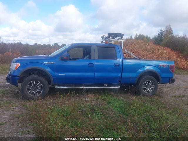 Ford F150 Supercrew 2014 1FTFW1ET2EFA01866 Image 15