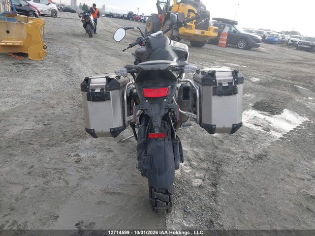 Triumph Motorcycle Tiger 1200 Rally Pro 2025 SMTP20V46STCB1595 Image 6