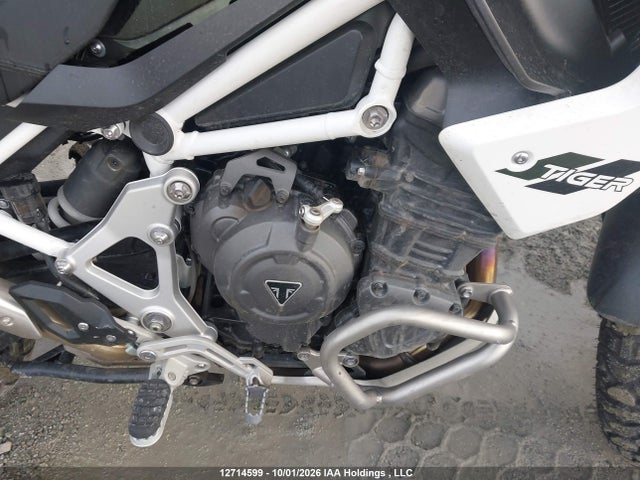 Triumph Motorcycle Tiger 1200 Rally Pro 2025 SMTP20V46STCB1595 Image 8