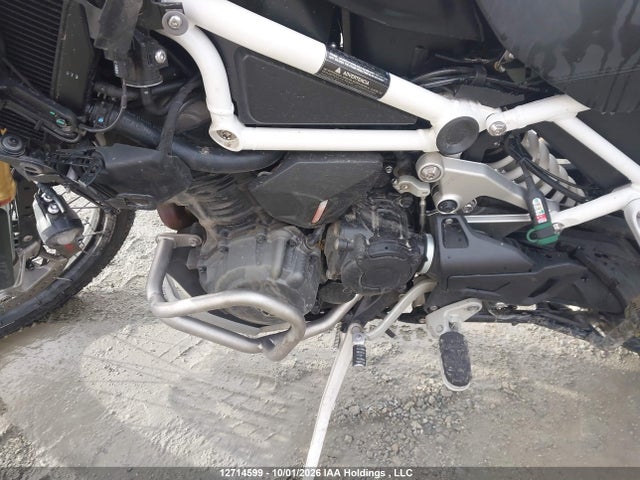 Triumph Motorcycle Tiger 1200 Rally Pro 2025 SMTP20V46STCB1595 Image 9