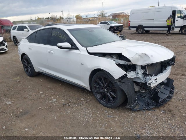 Продаж на аукціоні авто 2020 Cadillac Ct5 Sport, vin: 1G6DU5RK6L0124949, номер лоту: 12339685